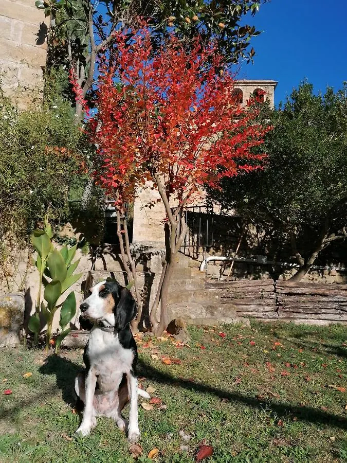 La Sala De Camos Hotel Camos (Catalonia)